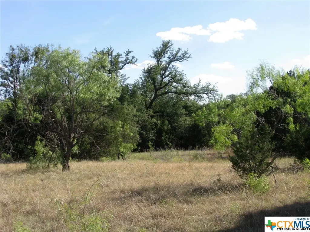 Lot 20 Ph 4 Pr 42126, Evant, TX 76525 - Image #1