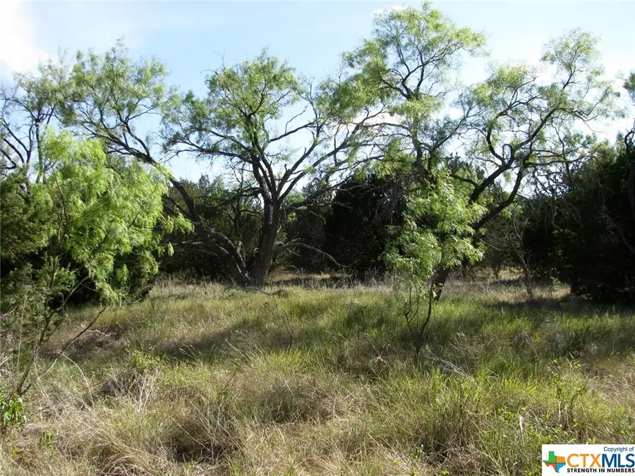 Lot 20 Ph 4 Pr 42126, Evant, TX 76525 - Image #2