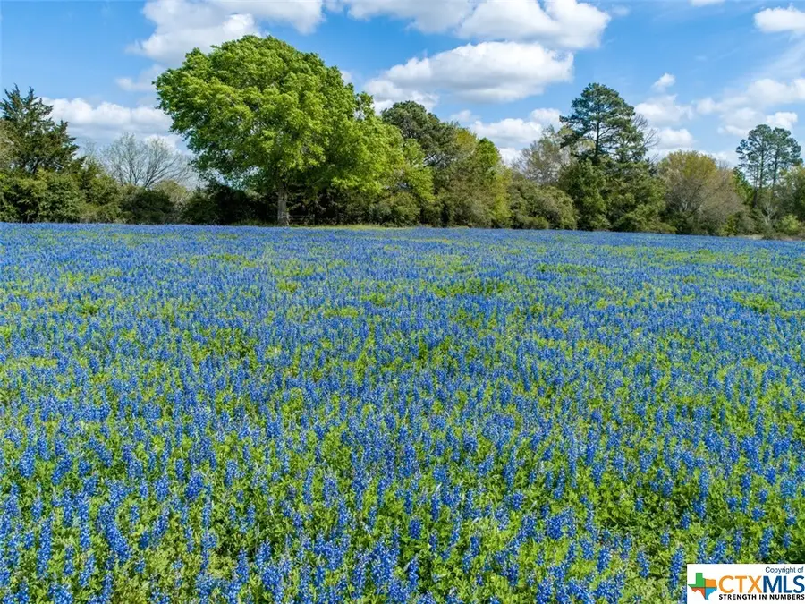 1255 Cr 260, Hallettsville, TX 77964 - Image #2
