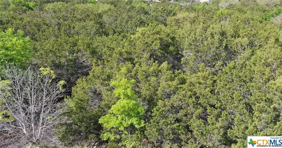 4067 Sherwood Drive, Belton, TX 76513 - Image #2