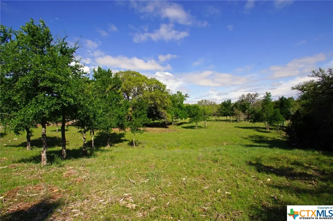 Lot 48 Bridget Court, Briggs, TX 78608 - Image #1