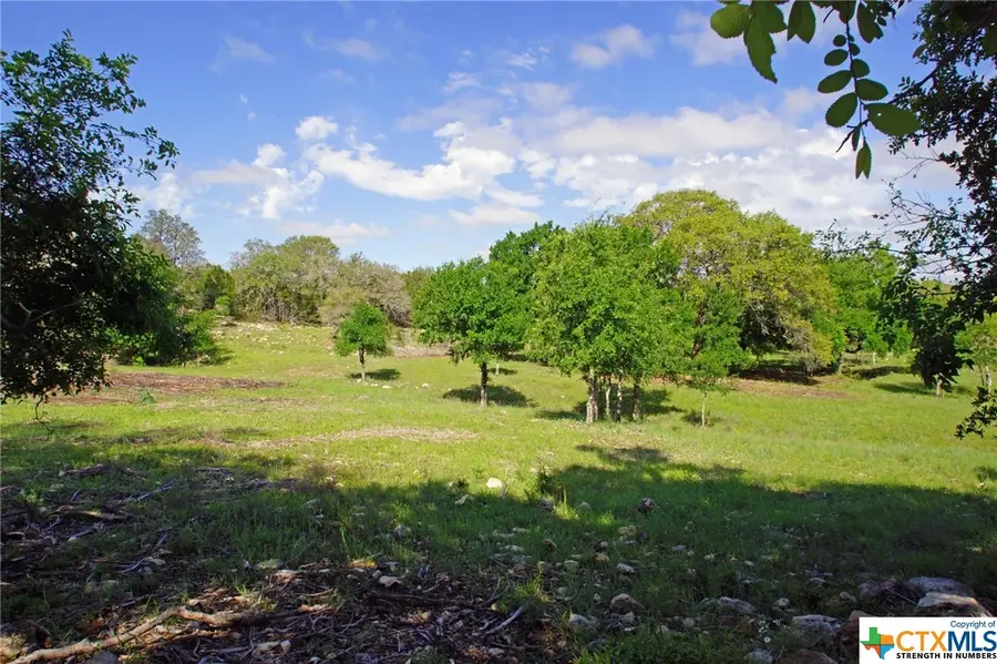 Lot 48 Bridget Court, Briggs, TX 78608 - Image #3