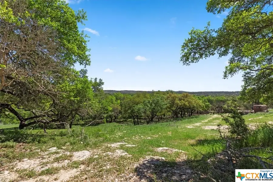 729 Rabbit Road, Wimberley, TX 78676 - #3