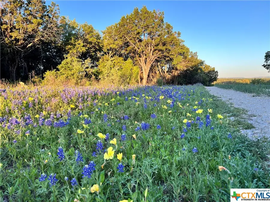 1817 Lutheran Church Road, Copperas Cove, TX 76522 - Image #2