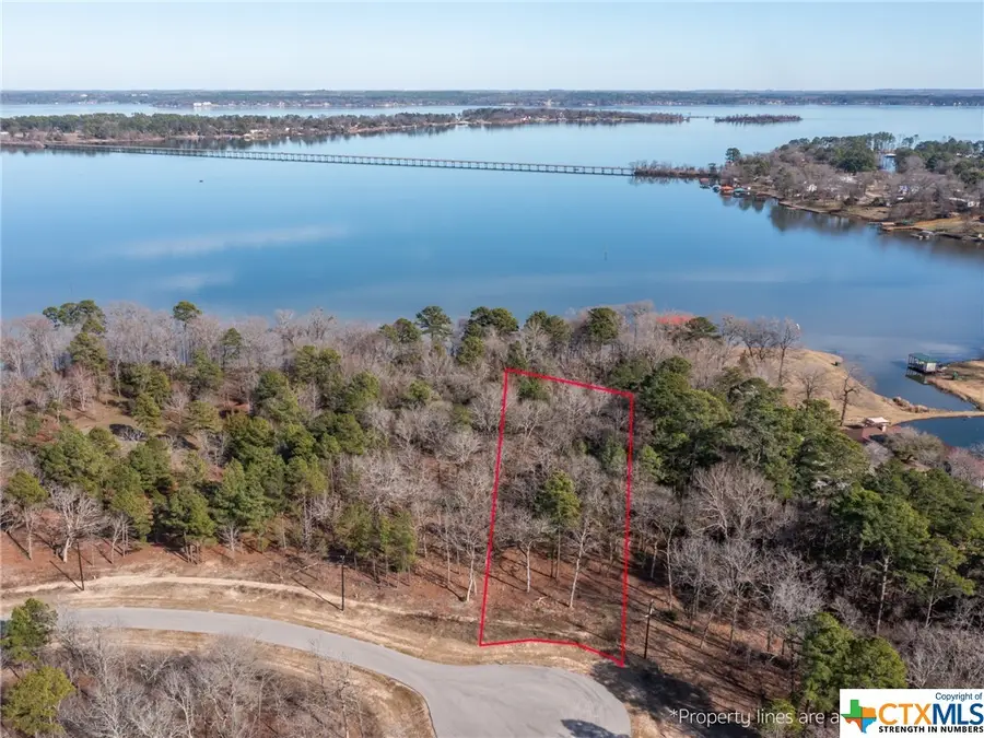 3104 Shadow Pine Drive, Larue, Larue Poynor, TX 75770 - Image #3