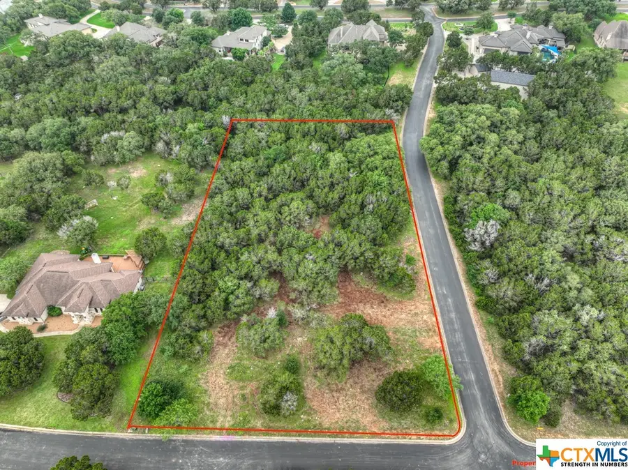 10402 Rinder Farm Court, New Braunfels, TX 78132 - Image #2