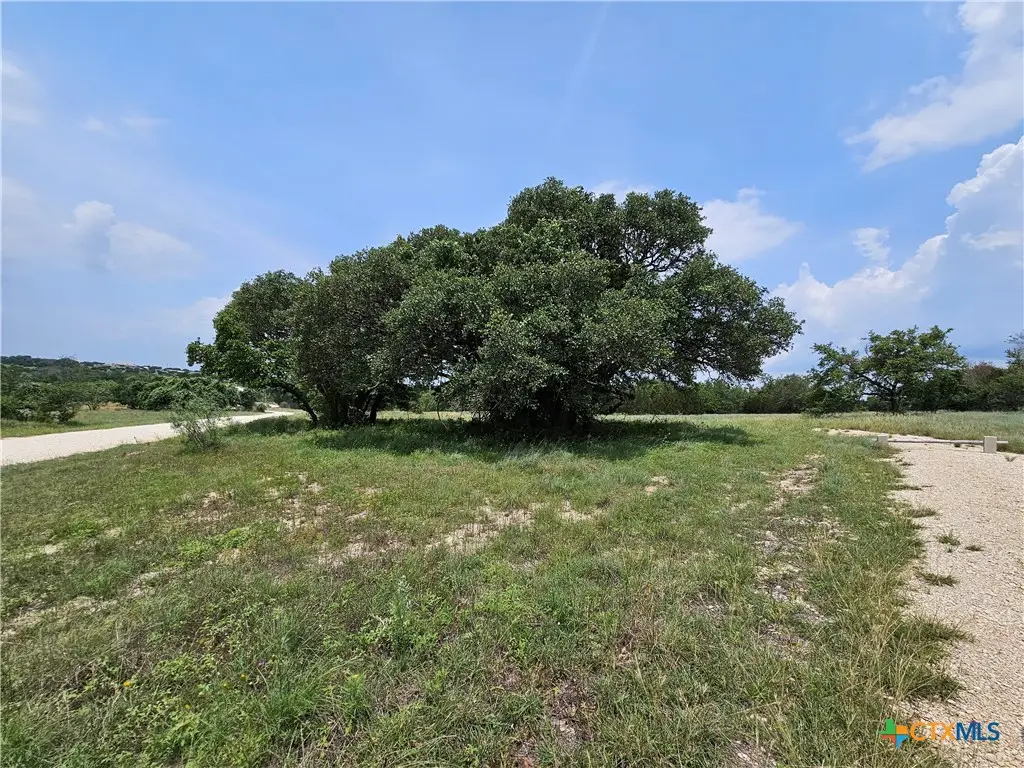 TBD Fm 580 (tract 67), Lampasas, TX 76550 - Image #1