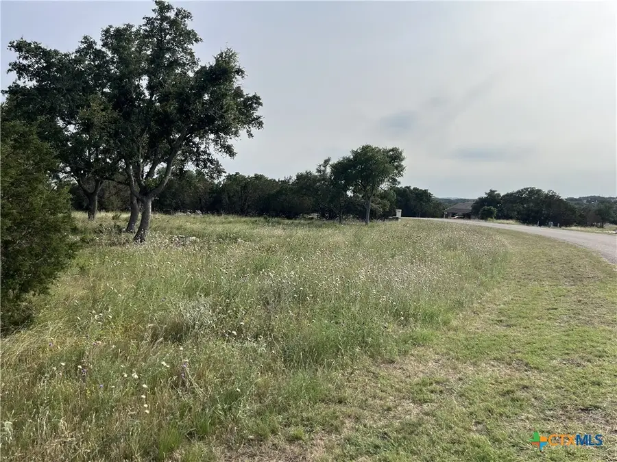 133 Macaw Lane, Spring Branch, TX 78070 - Image #2