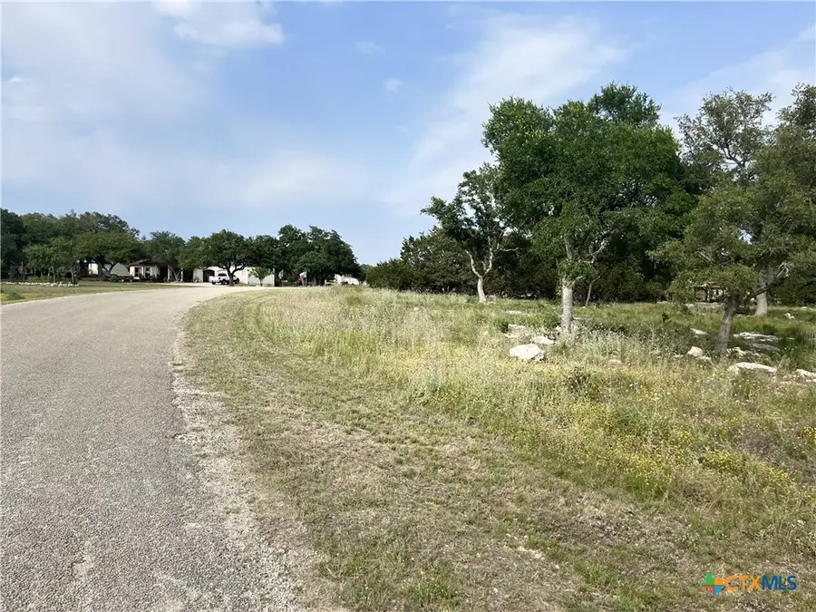 133 Macaw Lane, Spring Branch, TX 78070 - Image #3