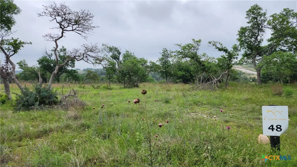 Lot 48 Ridgeline Road, Fredericksburg, TX 78624 - #1