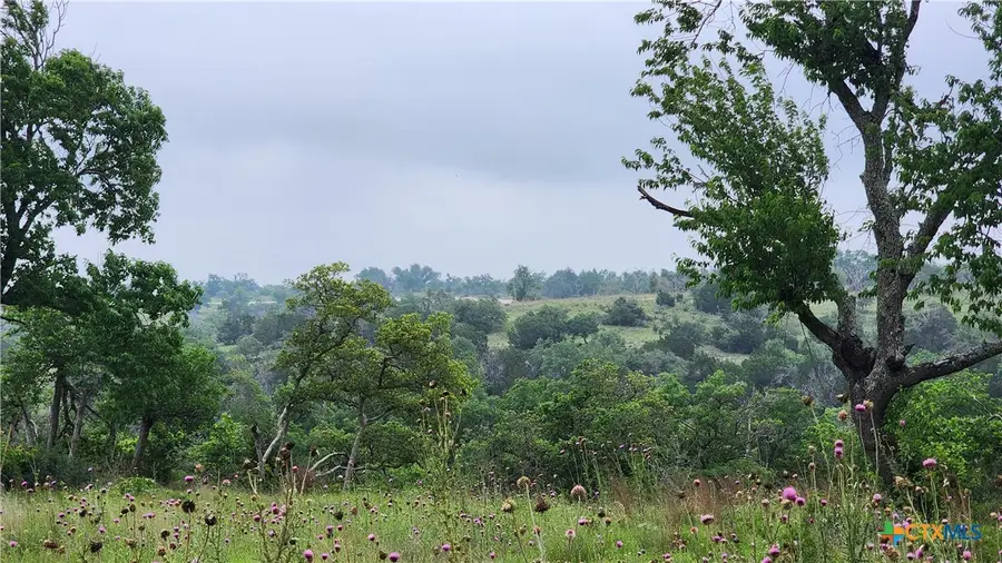 Lot 48 Ridgeline Road, Fredericksburg, TX 78624 - #2