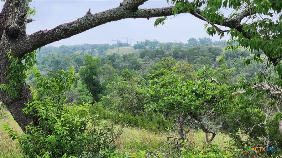 Lot 48 Ridgeline Road, Fredericksburg, TX 78624 - #3