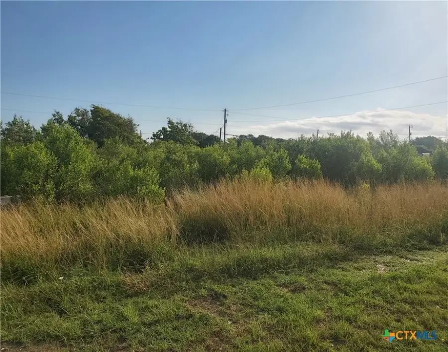 704 W Toledo Avenue, Seadrift, TX 77983 - Image #3