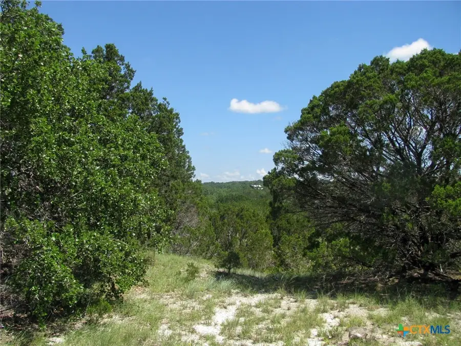Lot 63 Phase 6 Pr 42107, Evant, TX 76525 - #2