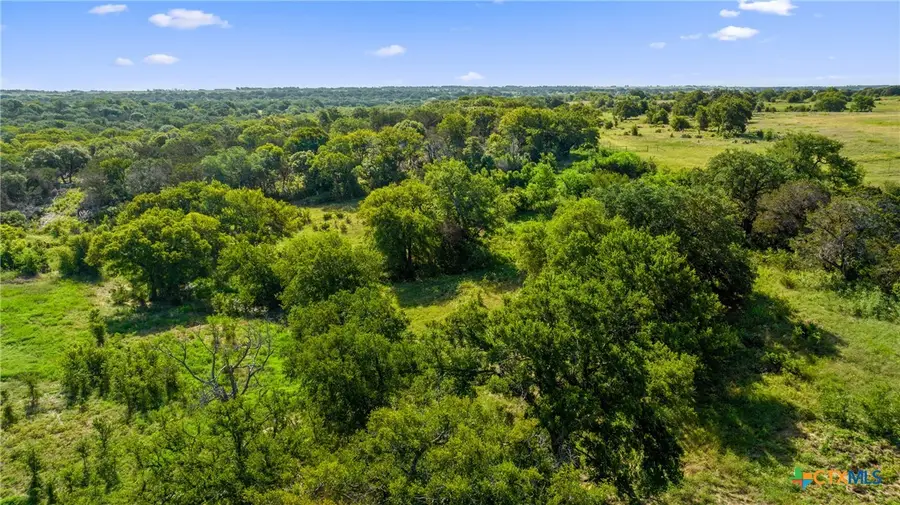 173 Guadalupe Dr., Oglesby, TX 76561 - Image #3