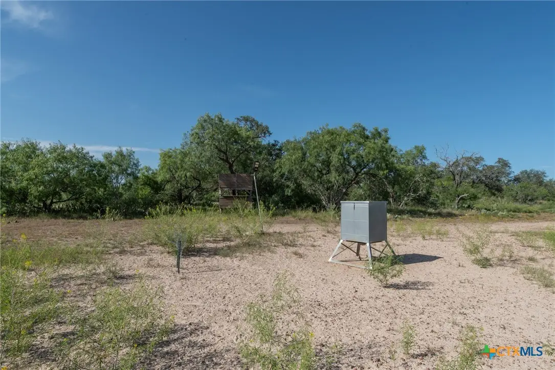 TBD Fm 108, Smiley, TX 78159 - Image #1