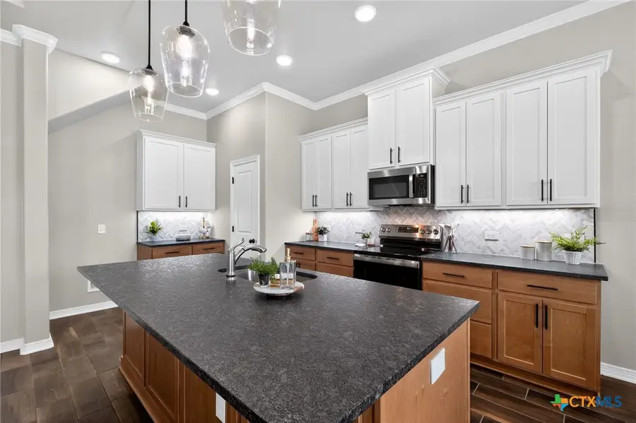 218 Sand Lilly Drive, Temple, TX 76502 - Image #3