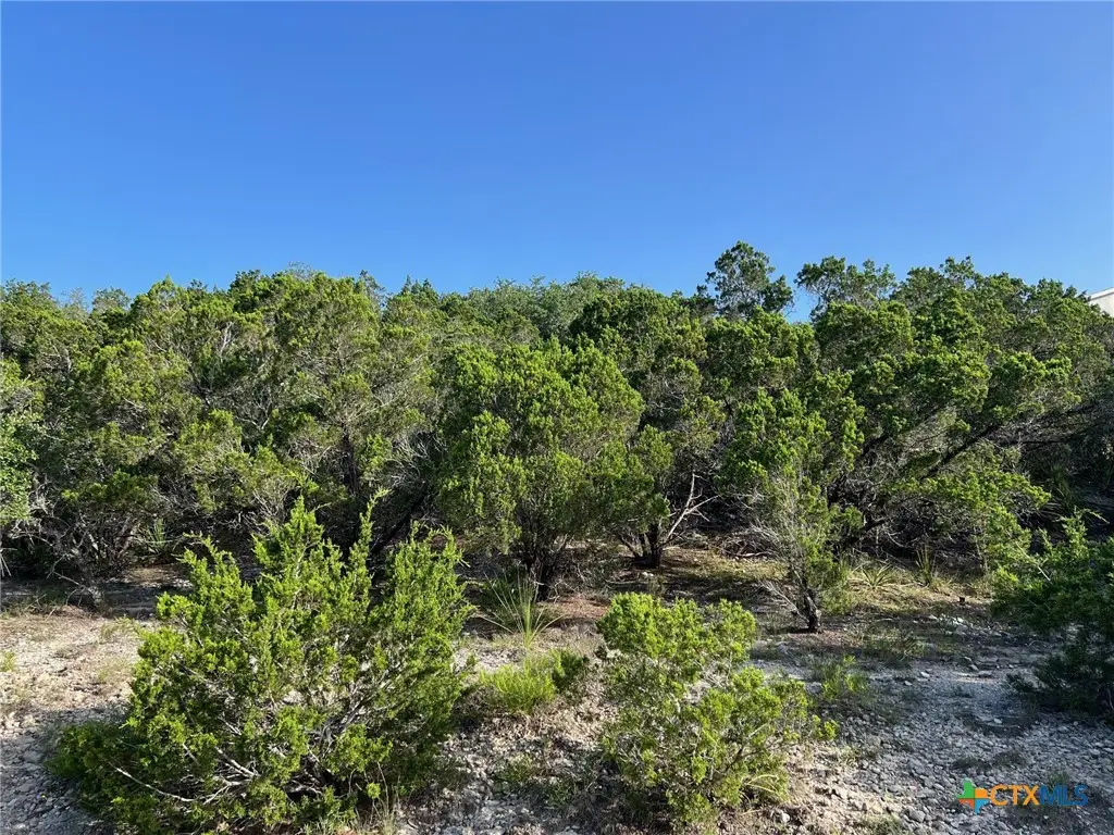 280 Scenic Hills Drive, Canyon Lake, TX 78133 - #1