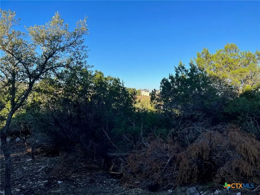 340 Ledgeview Drive, Canyon Lake, TX 78133 - #3