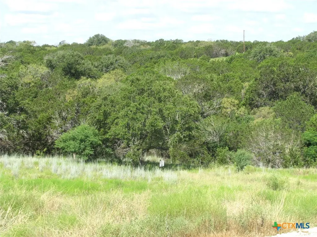 Lot 9 Ph 4 Pr 4212, Evant, TX 76525 - #1