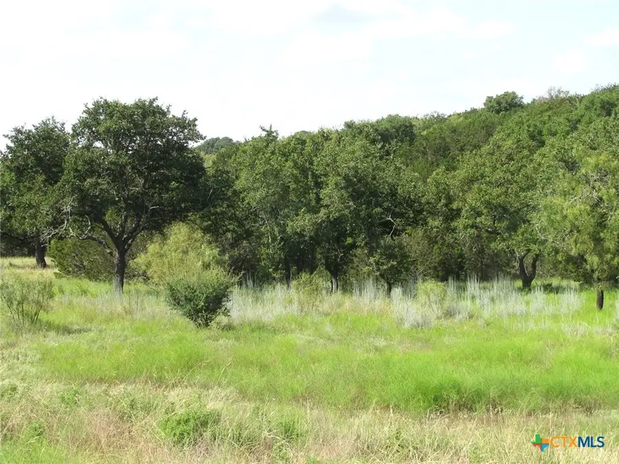 Lot 9 Ph 4 Pr 4212, Evant, TX 76525 - #2