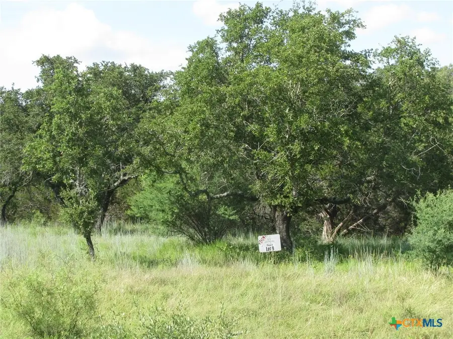 Lot 9 Ph 4 Pr 4212, Evant, TX 76525 - #3