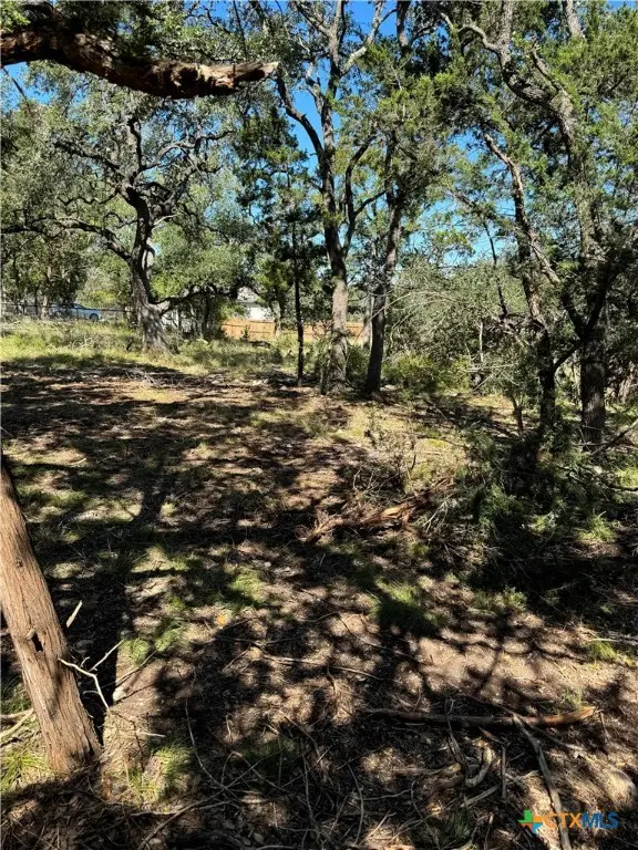 2869 Western Skies Drive, Spring Branch, TX 78070 - Image #3