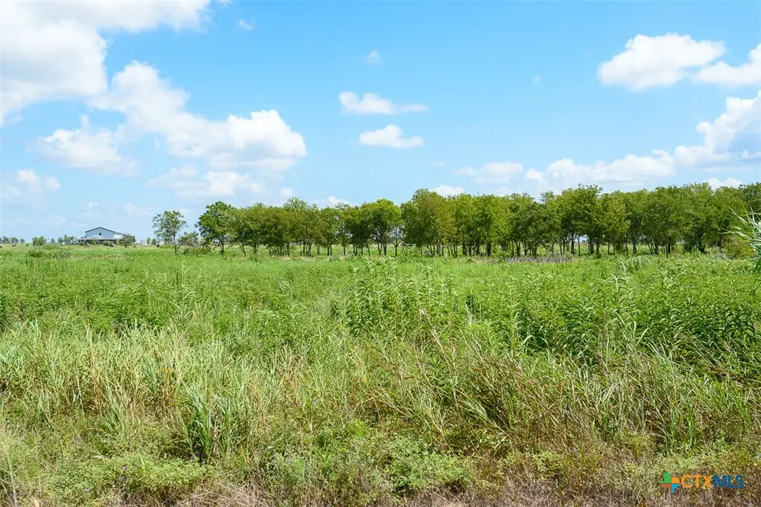 TBD Vaughn Road, Troy, TX 76579 - Image #1