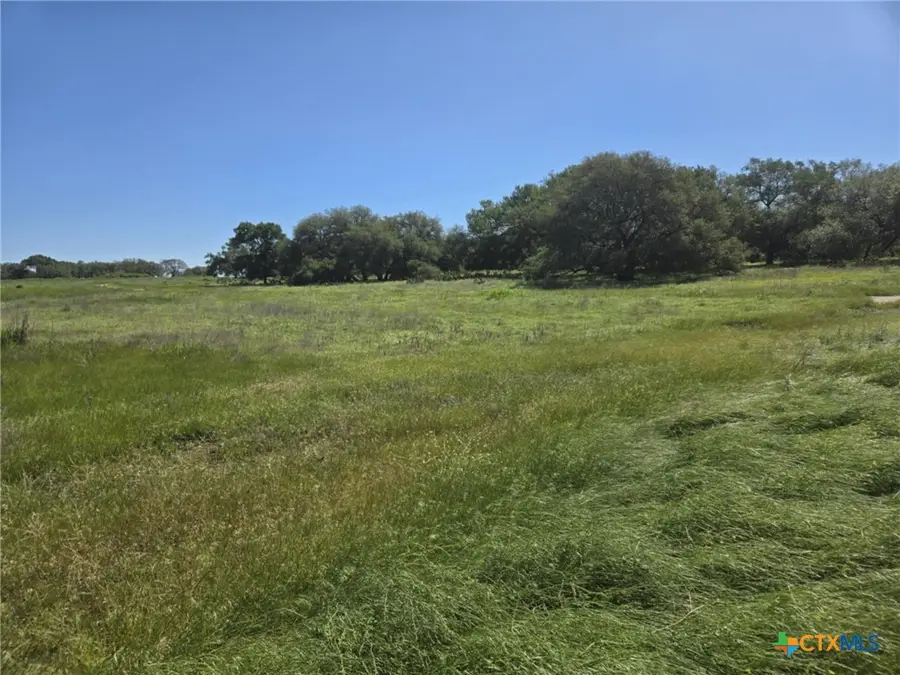 254 Guadalupe Dr., Oglesby, TX 76561 - Image #3