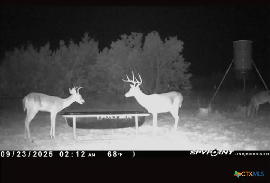 542 County Road 2275, Lampasas, TX 76550 - Image #2