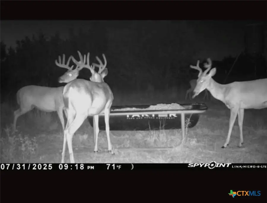 542 County Road 2275, Lampasas, TX 76550 - Image #3