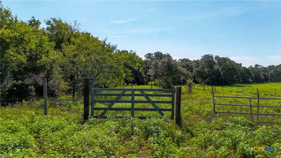 985 Dewberry Lane, Harwood, TX 78632 - #2