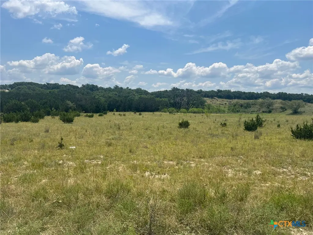 5.04 Acres Mourning Dove Ln, Lampasas, TX 76550 - #1