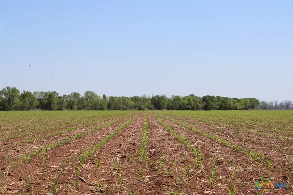 TBD County Road 301, Marlin, TX 76661