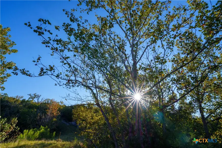 582 Delaware Creek Road, Blanco, TX 78606 - #3