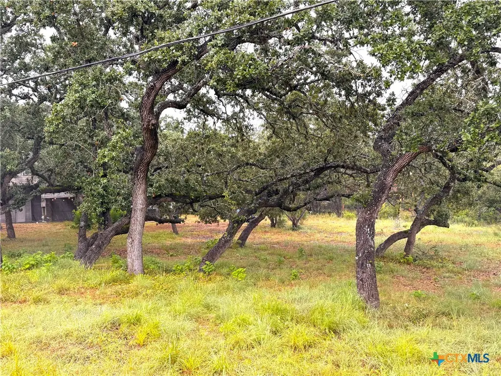 1220 Lakeside E Drive, Canyon Lake, TX 78133 - Image #1