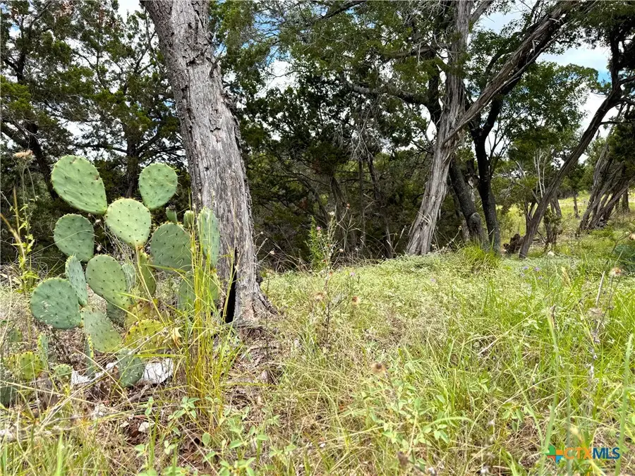 1220 Lakeside E Drive, Canyon Lake, TX 78133 - Image #2