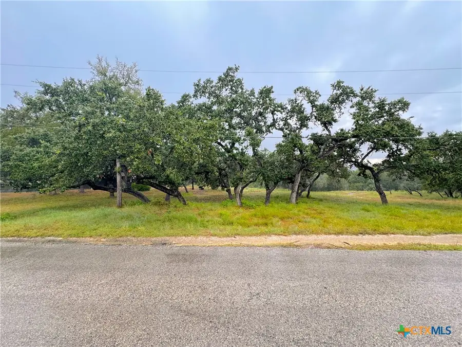 1220 Lakeside E Drive, Canyon Lake, TX 78133 - Image #3