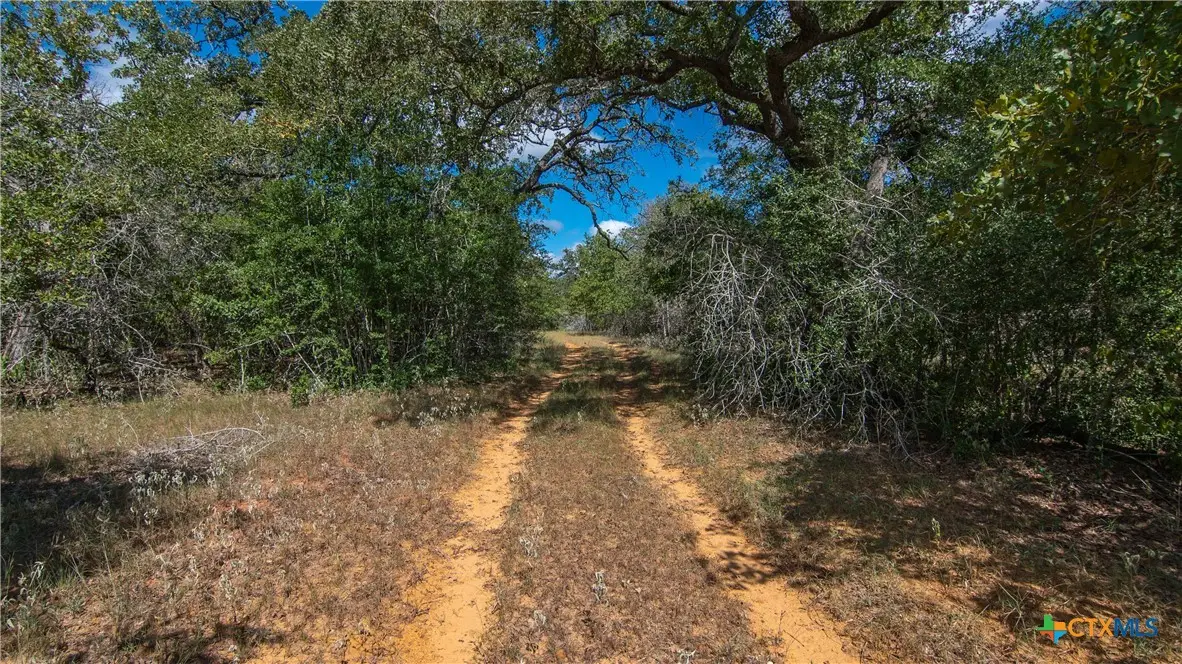 TBD County Road 434, Stockdale, TX 78160 - Image #1