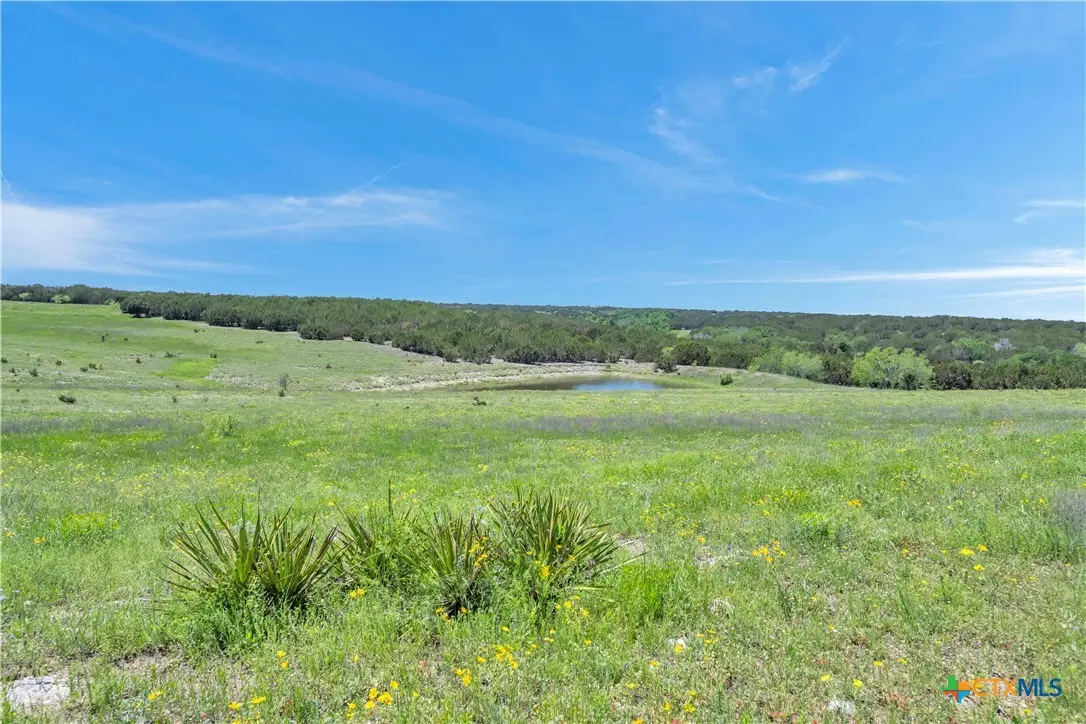 Lot 4 Cr 207, Burnet, TX 78611 - #1
