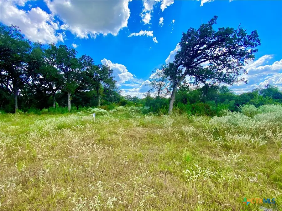 000 Sydnie Ranch Road, Inez, TX 77968 - Image #2