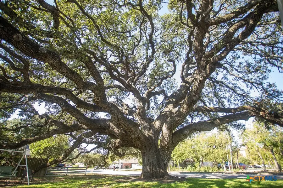 2209 Mockingbird Lane, Temple, TX 76502 - Image #3