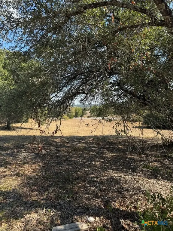 Lot 5 Bowles Ranch Road, Belton, TX 76513 - Image #2