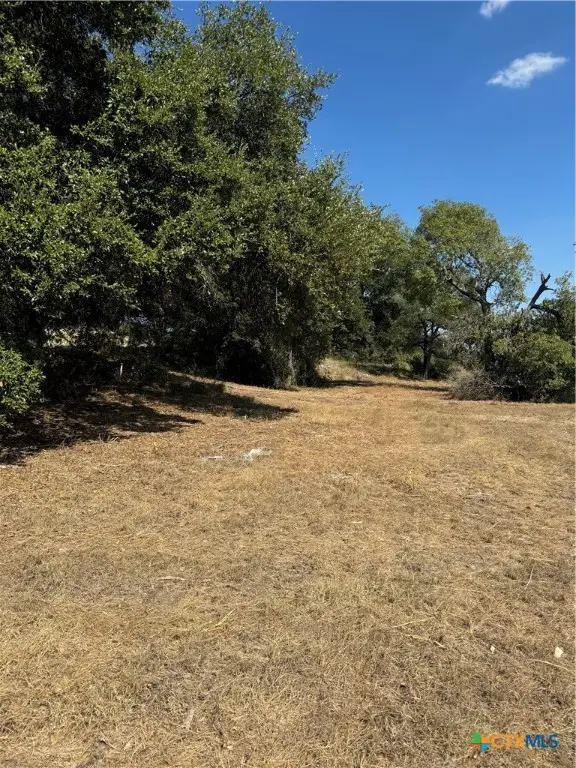 Lot 5 Bowles Ranch Road, Belton, TX 76513 - Image #3