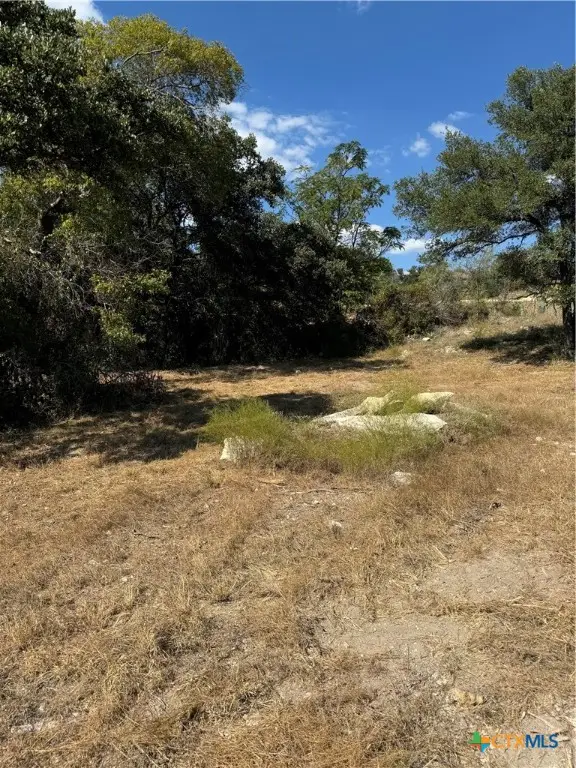Lot 6 Bowles Ranch Road, Belton, TX 76513 - Image #2