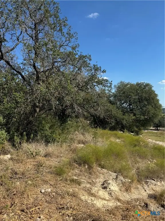 Lot 24 Bowles Ranch Road, Belton, TX 76513 - #3