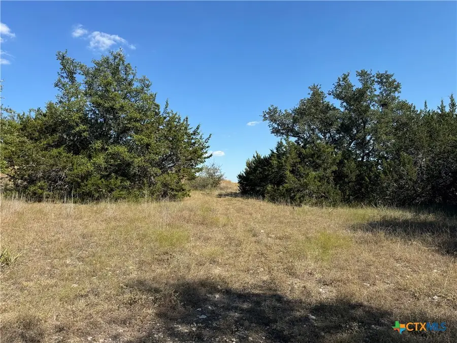 Lot 25A Bowles Ranch Road, Belton, TX 76513 - #2
