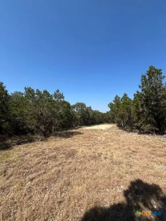1585 Hilltop Ridge, New Braunfels, TX 78132 - Image #2