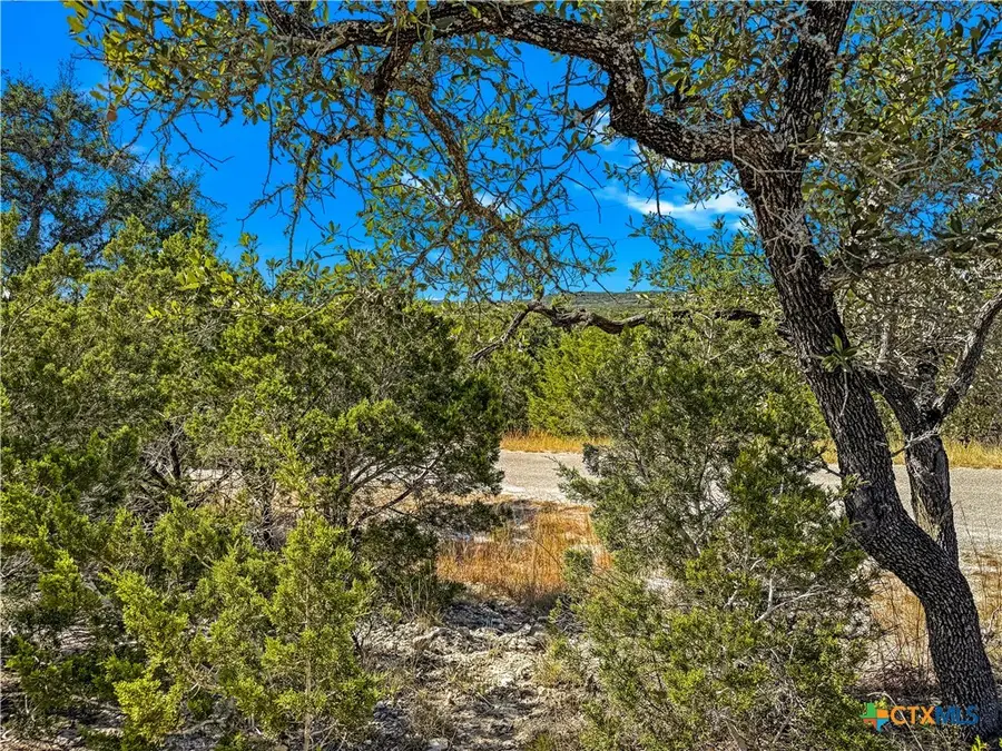 2900 Rocky Ridge Loop, Canyon Lake, TX 78133 - #2