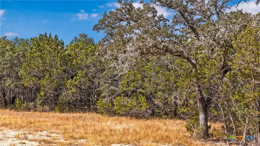 1949 Paradise Parkway, Canyon Lake, TX 78133 - #2